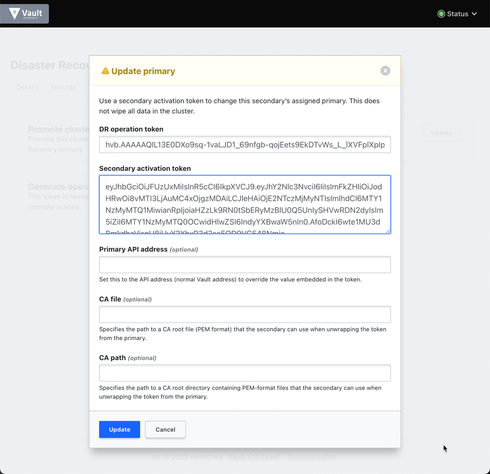 The Update Primary modal filled in